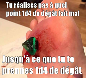 1d4Dégatspng.png